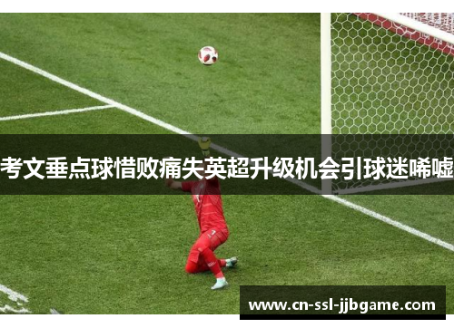 考文垂点球惜败痛失英超升级机会引球迷唏嘘 考文垂点球惜败痛失英超升级机会引球迷唏嘘